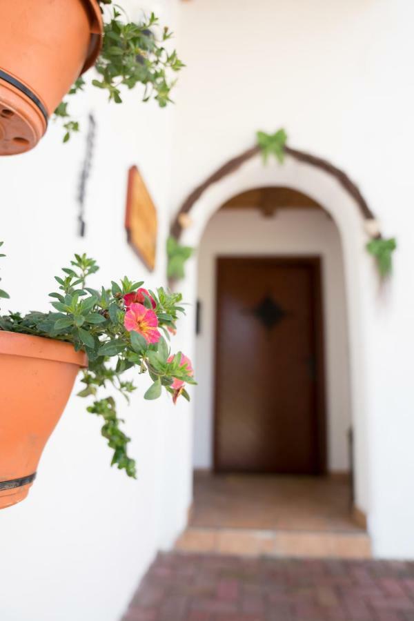 Haus Berta Διαμέρισμα Leutasch Εξωτερικό φωτογραφία
